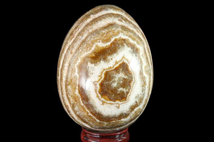 Polished, Banded Aragonite Egg - Morocco #161247